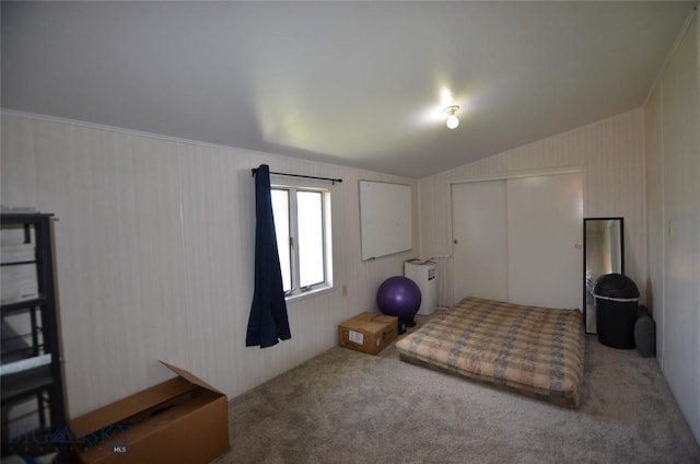 314 S Dakota St, Dillon, MT 59725 - bedroom featuring lofted ceiling, carpet floors, and a closet