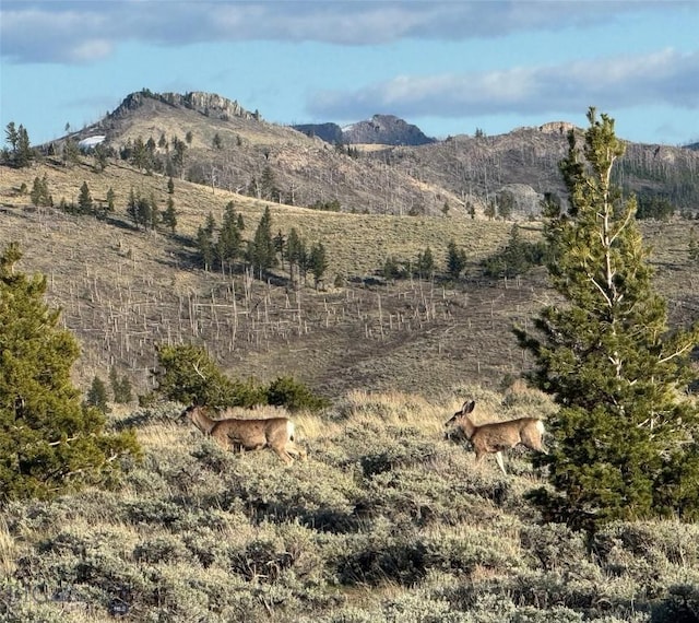 TBD Tbd, Big Timber, MT 59011