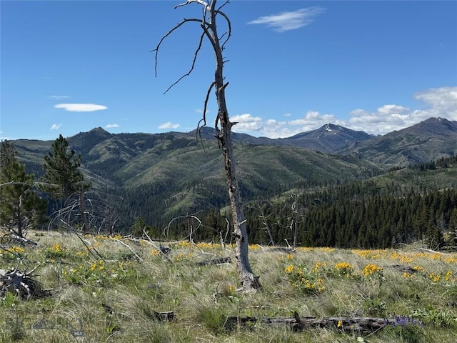 TBD Tbd, Big Timber, MT 59011