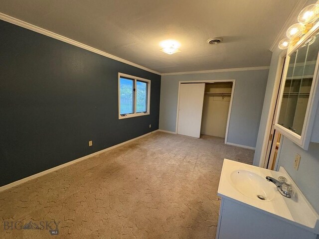 330 N Walnut St, Dillon, MT 59725 - unfurnished bedroom featuring a sink, crown molding, light carpet, and baseboards