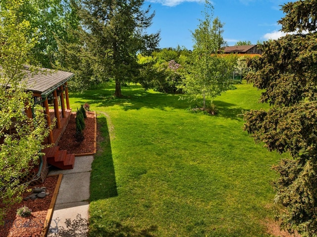 25 Big Chief Trl, Bozeman, MT 59718 - view of grassy yard