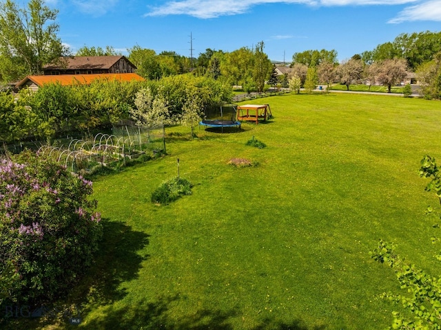 25 Big Chief Trl, Bozeman, MT 59718 - view of grassy yard with a trampoline