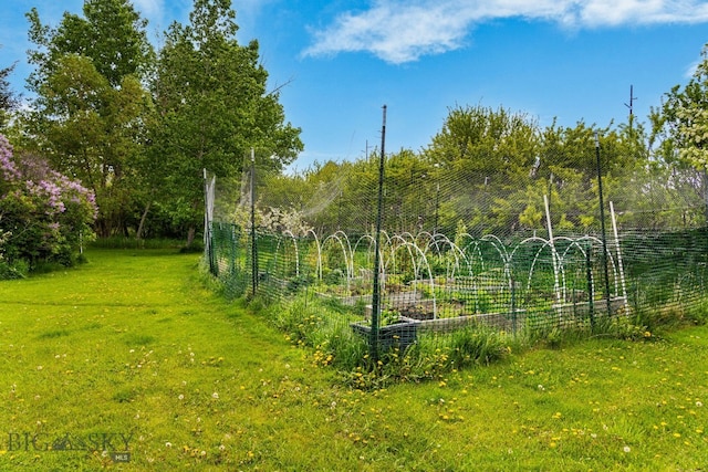 25 Big Chief Trl, Bozeman, MT 59718 - view of green lawn with a vegetable garden