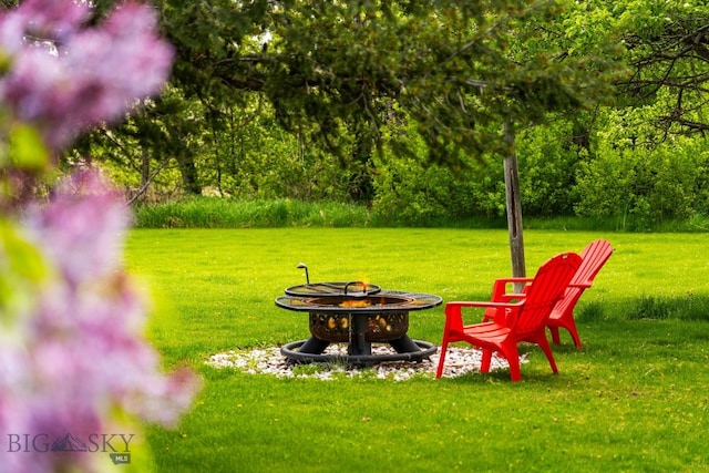 25 Big Chief Trl, Bozeman, MT 59718 - view of green lawn with an outdoor fire pit