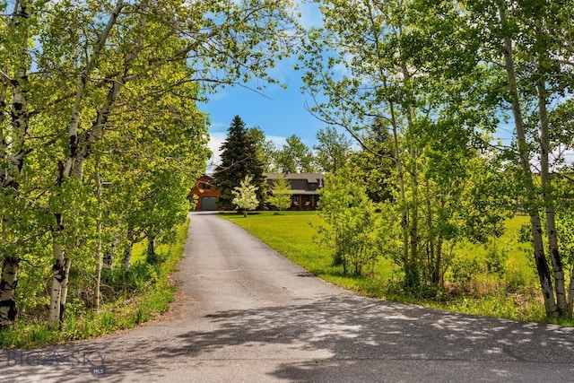25 Big Chief Trl, Bozeman, MT 59718 - view of asphalt driveway