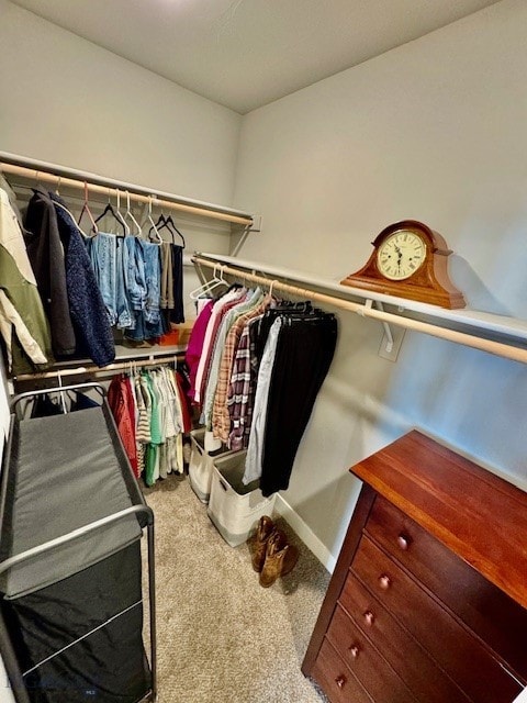920 Butler Creek Ave, Belgrade, MT 59714 - walk in closet featuring carpet floors