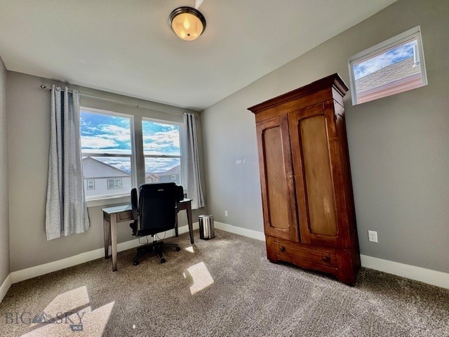 920 Butler Creek Ave, Belgrade, MT 59714 - office space with light colored carpet and baseboards