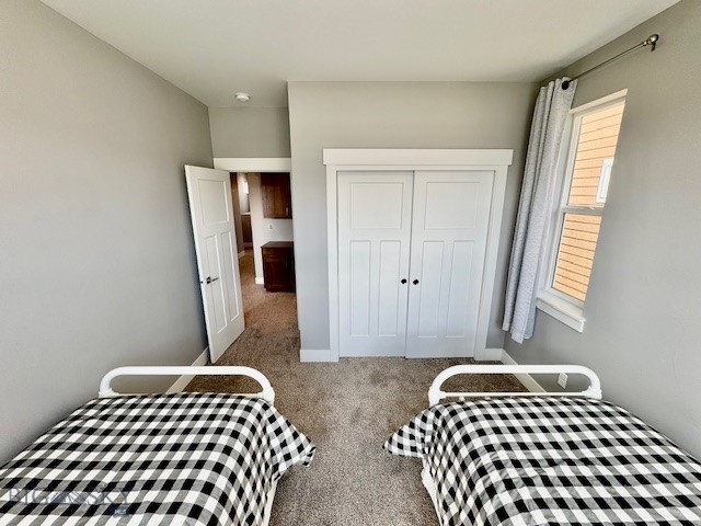 920 Butler Creek Ave, Belgrade, MT 59714 - bedroom with carpet floors and a closet