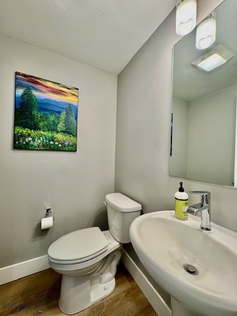 920 Butler Creek Ave, Belgrade, MT 59714 - bathroom featuring a sink, wood finished floors, baseboards, and toilet