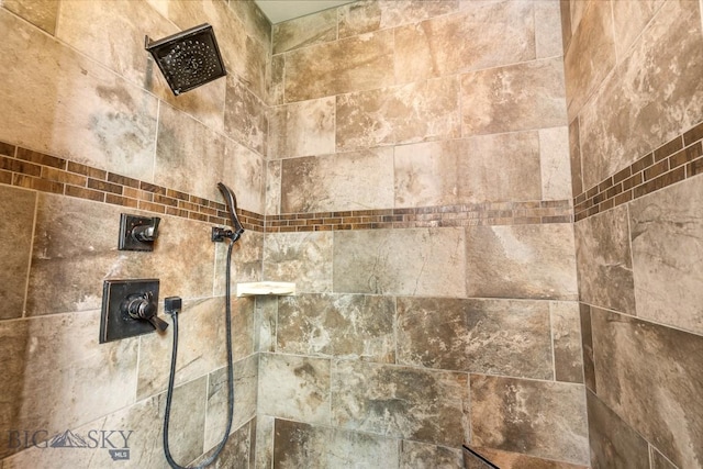 43 Lewis Dr, Three Forks, MT 59752 - bathroom view of tiled shower