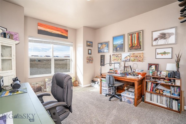 6 Wild Rye Pl, Three Forks, MT 59752 - office area featuring carpet and baseboards