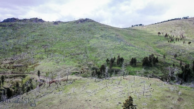 263 Hercules Rd, Emigrant, MT 59027 - view of mountain background