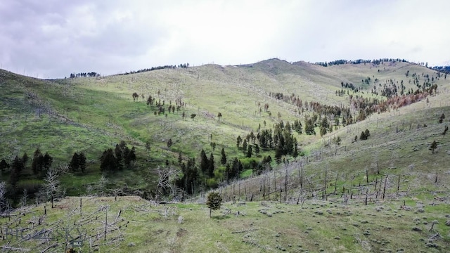 263 Hercules Rd, Emigrant, MT 59027 - mountain view featuring rural landscape