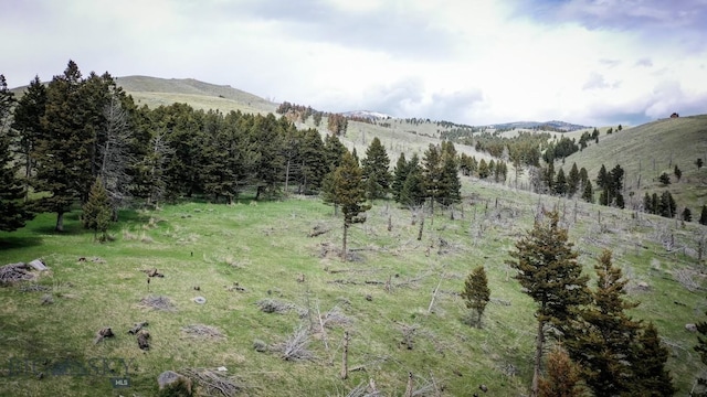 263 Hercules Rd, Emigrant, MT 59027 - mountain view