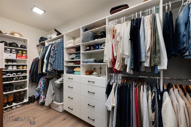 1510 Windrow Dr, Bozeman, MT 59718 - walk in closet with light wood-style flooring