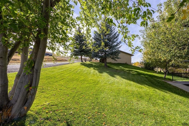 34 Mammoth, Butte, MT 59701 - view of green lawn
