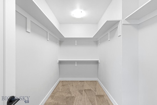 608 Spaniel Ln, Belgrade, MT 59714 - walk in closet with carpet