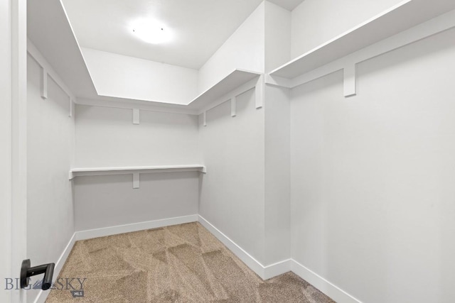 608 Spaniel Ln, Belgrade, MT 59714 - walk in closet featuring carpet flooring