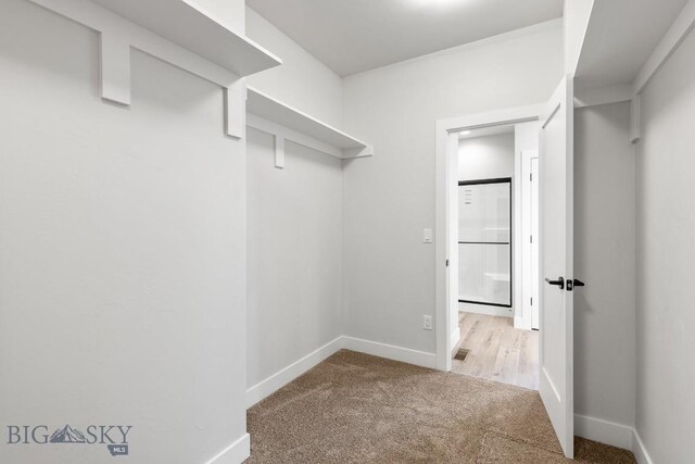 608 Spaniel Ln, Belgrade, MT 59714 - walk in closet featuring carpet