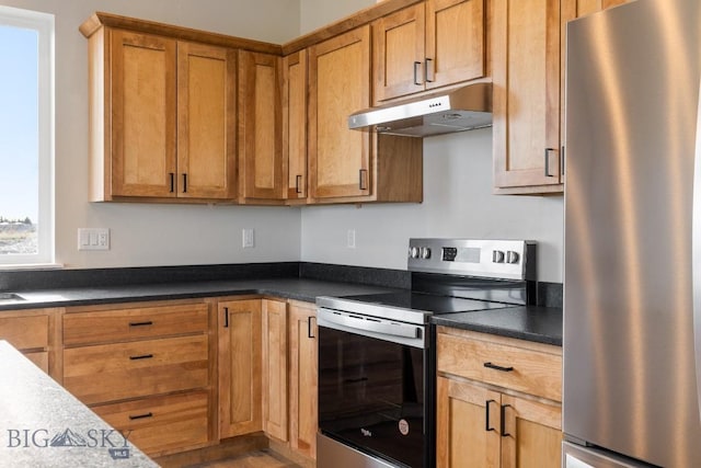 608 Spaniel Ln, Belgrade, MT 59714 - kitchen with stainless steel appliances, under cabinet range hood, dark countertops, and brown cabinets