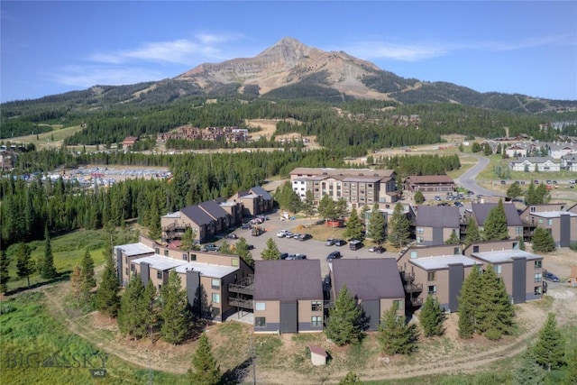21 Sitting Bull Rd Unit 1226, Big Sky, MT 59716 - photo 38