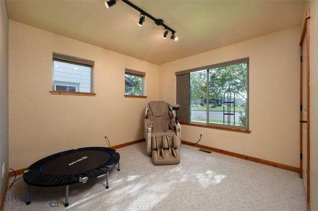 1079 N Cottonwood Rd, Bozeman, MT 59718 - living area featuring baseboards, rail lighting, and carpet floors