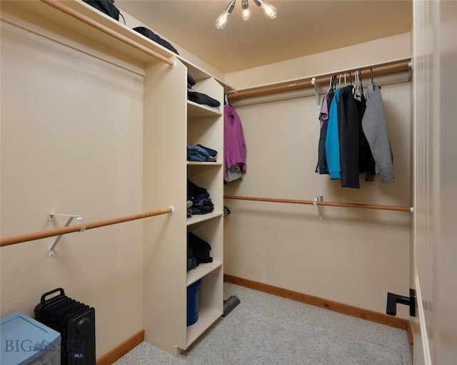 1079 N Cottonwood Rd, Bozeman, MT 59718 - spacious closet featuring carpet floors and radiator heating unit