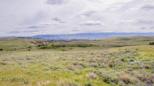 NHN Bighorn Canyon Rd, Bridger, MT 59014