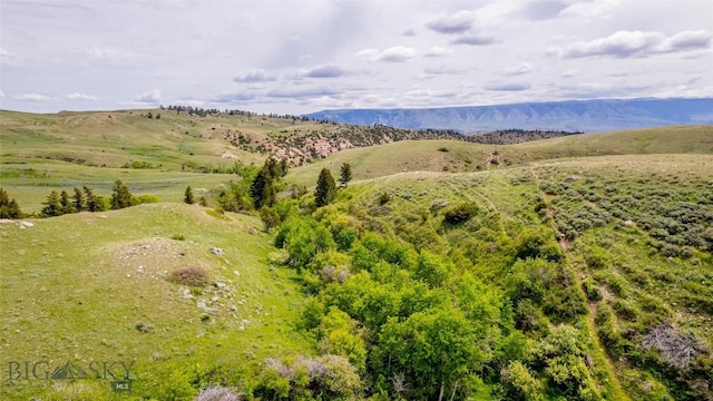 NHN Bighorn Canyon Rd, Bridger, MT 59014