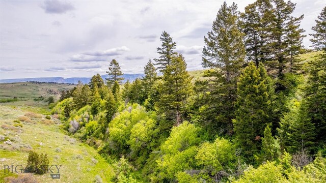 NHN Bighorn Canyon Rd, Bridger, MT 59014