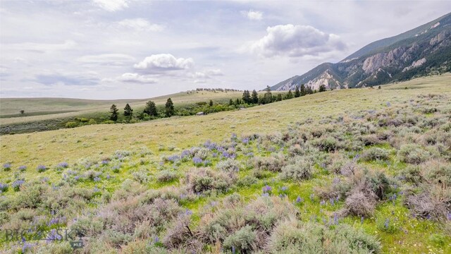 NHN Bighorn Canyon Rd, Bridger, MT 59014