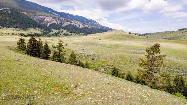 NHN Bighorn Canyon Rd, Bridger, MT 59014