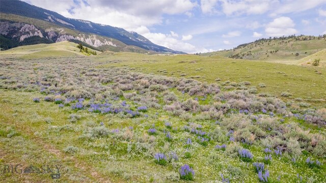 NHN Bighorn Canyon Rd, Bridger, MT 59014