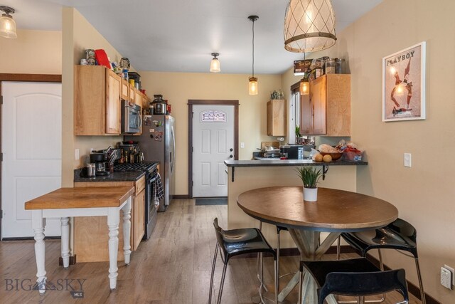 2472 Milkhouse Ave, Bozeman, MT 59718 - kitchen with appliances with stainless steel finishes, dark countertops, light wood-style floors, and a peninsula