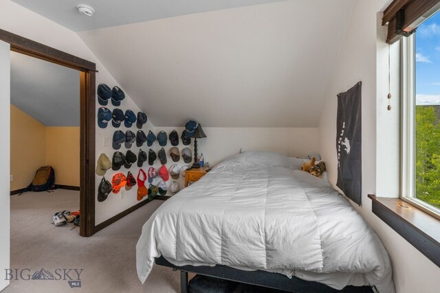 2472 Milkhouse Ave, Bozeman, MT 59718 - carpeted bedroom with lofted ceiling