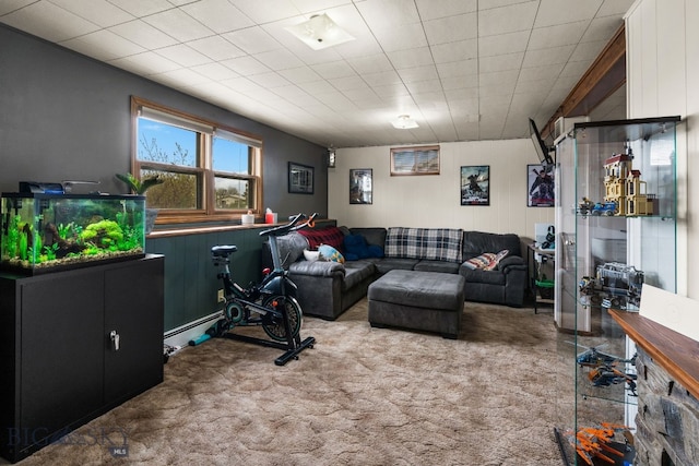 22 Rocky Mountain Dr, Whitehall, MT 59759 - living room featuring carpet and wooden walls