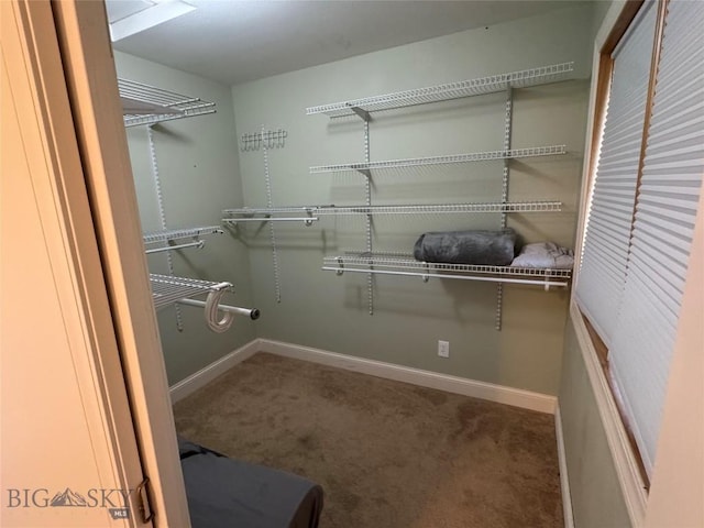 30 Grand View Ln, Big Timber, MT 59011 - spacious closet featuring carpet flooring