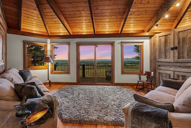 14585 Eagle Eye Way, Gallatin Gateway, MT 59730 - living area featuring wooden ceiling, baseboards, and light wood finished floors
