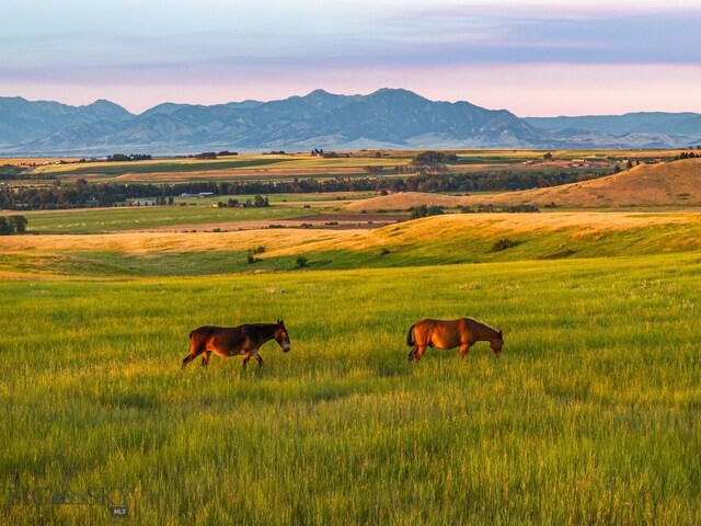 14585 Eagle Eye Way, Gallatin Gateway, MT 59730 - mountain view with rural landscape and agricultural land