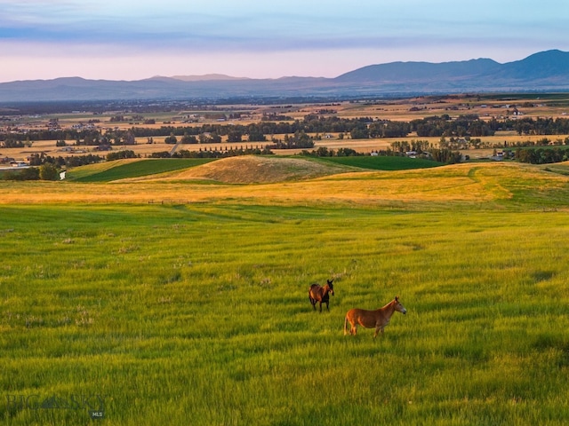 14585 Eagle Eye Way, Gallatin Gateway, MT 59730 - view of home's community featuring a view of rural / pastoral area and a mountain view