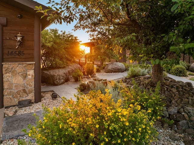14585 Eagle Eye Way, Gallatin Gateway, MT 59730 - view of yard