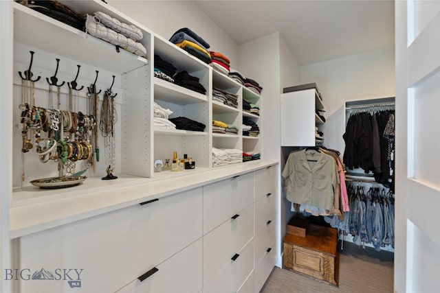 646 Arrow Trl, Bozeman, MT 59718 - view of walk in closet