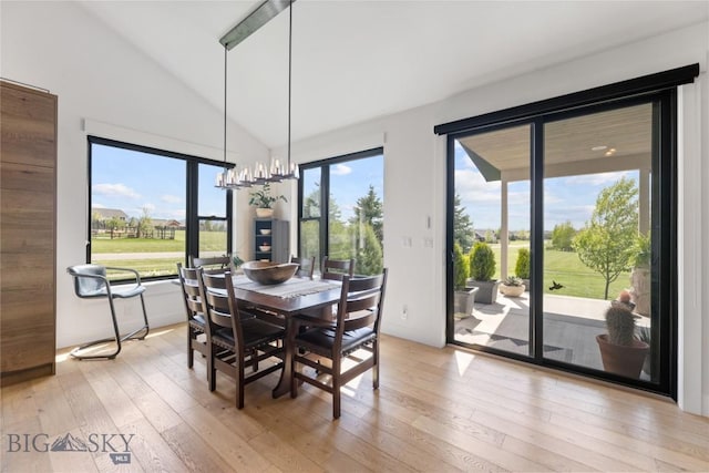 646 Arrow Trl, Bozeman, MT 59718 - dining space featuring light wood-style flooring, lofted ceiling, and a chandelier