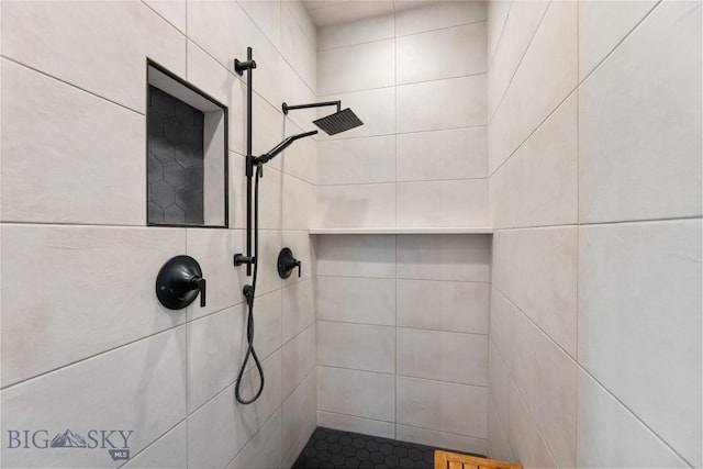 646 Arrow Trl, Bozeman, MT 59718 - bathroom featuring tiled shower