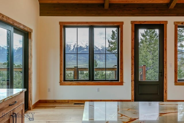 16 Sagittarius Skwy, Emigrant, MT 59027 - entryway featuring light wood-style flooring, wooden ceiling with exposed beams, and baseboards