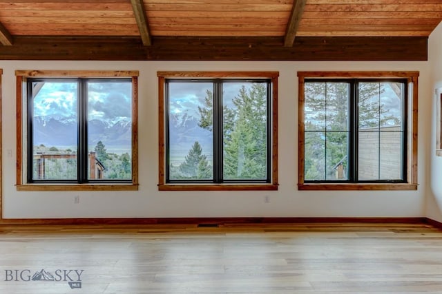 16 Sagittarius Skwy, Emigrant, MT 59027 - empty room featuring wood ceiling, healthy amount of natural light, and wood finished floors
