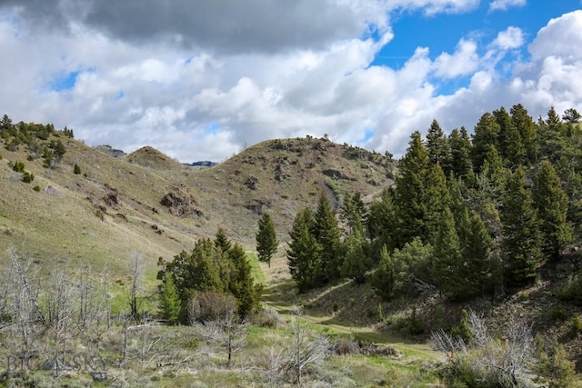 16 Sagittarius Skwy, Emigrant, MT 59027 - mountain view