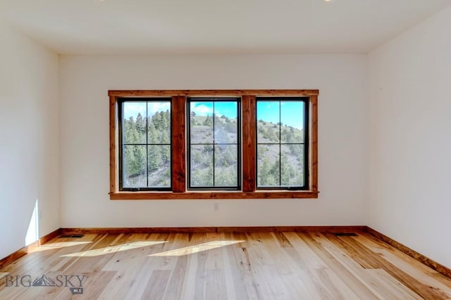 16 Sagittarius Skwy, Emigrant, MT 59027 - spare room with plenty of natural light, light wood-type flooring, and baseboards