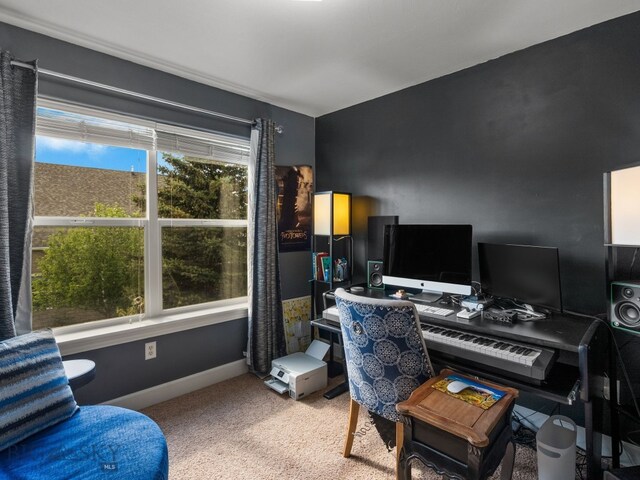 1009 Wyoming St, Belgrade, MT 59714 - office area with light colored carpet and baseboards