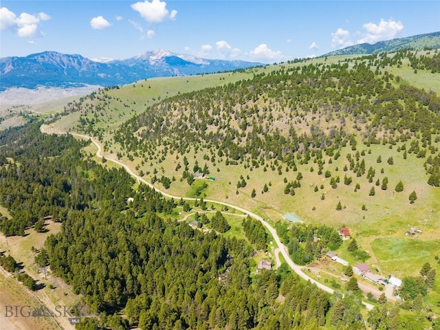 495 Jardine Rd, Gardiner, MT 59030 - drone / aerial view of a mountainous background and a forest